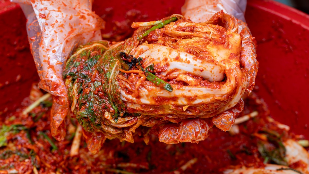 기사의 이해를 돕기 위한 사진 / Ju Jae-young-shutterstock.com