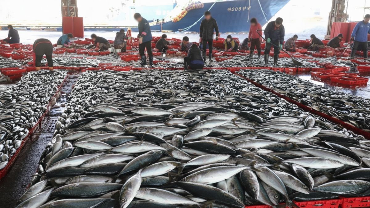 기사 이해를 돕기 위해 AI로 제작된 이미지