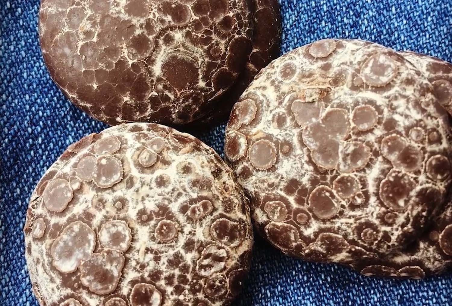 블룸 현상이 발생한 초콜릿. / 'Mashed' 유튜브