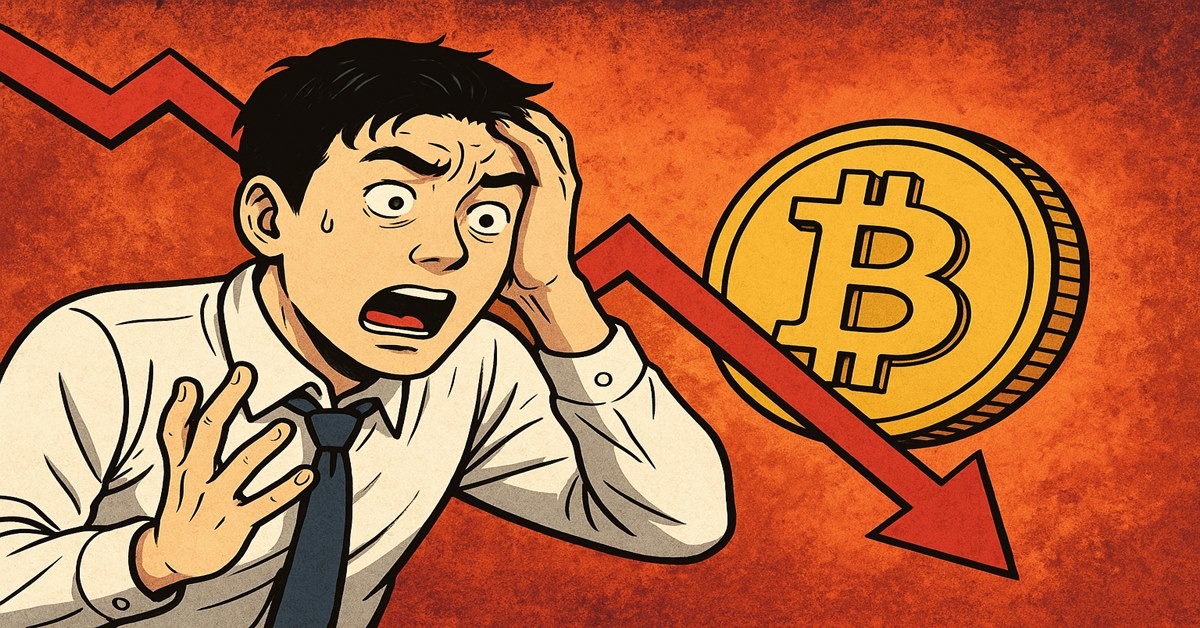 기사 내용을 바탕으로 한 참고 이미지