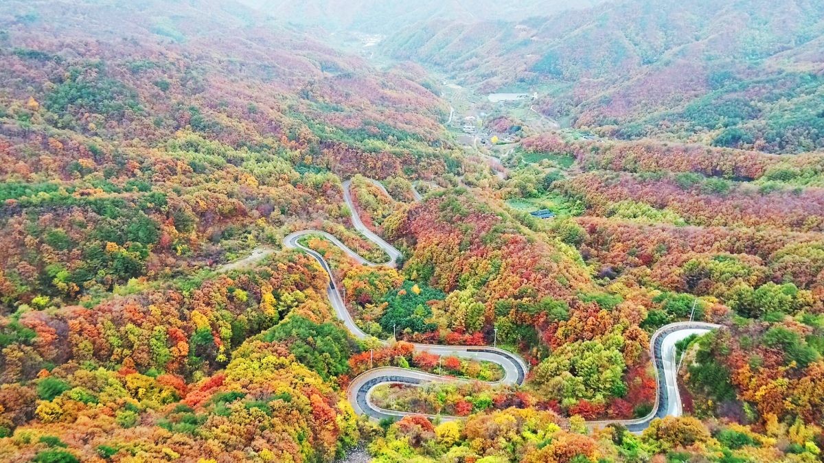 도마령 가을 풍경 자료 사진 / 영동군 제공, 뉴스1