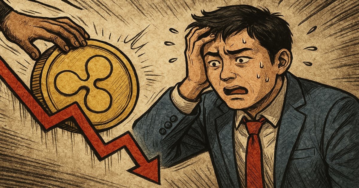 기사 내용을 바탕으로 한 참고 이미지