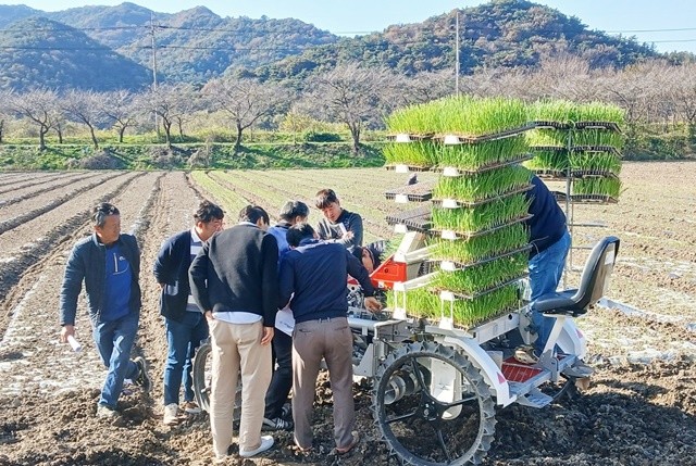 나주시농업기술센터는 지난 14일 문평면 일원에서 지역 농업인들이 참석한 가운데 승용 정식기를 활용한 양파 기계 정식 연시회를 갖고 기계화 정식의 효과와 적용성을 소개했다