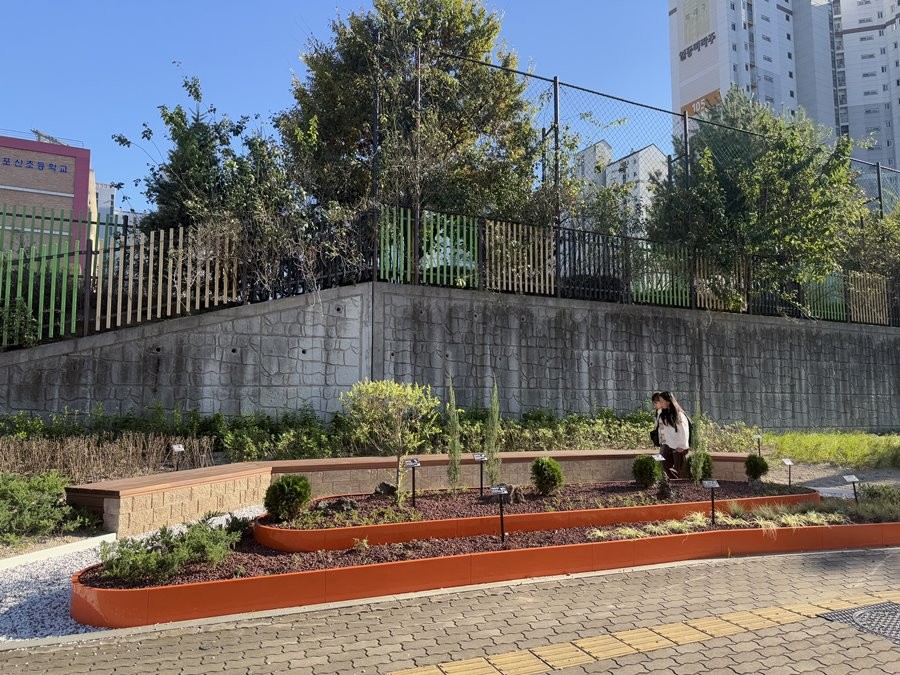대구 포산초등학교 인근에 조성된 그린숲 전경.  / 대구 달성군 제공