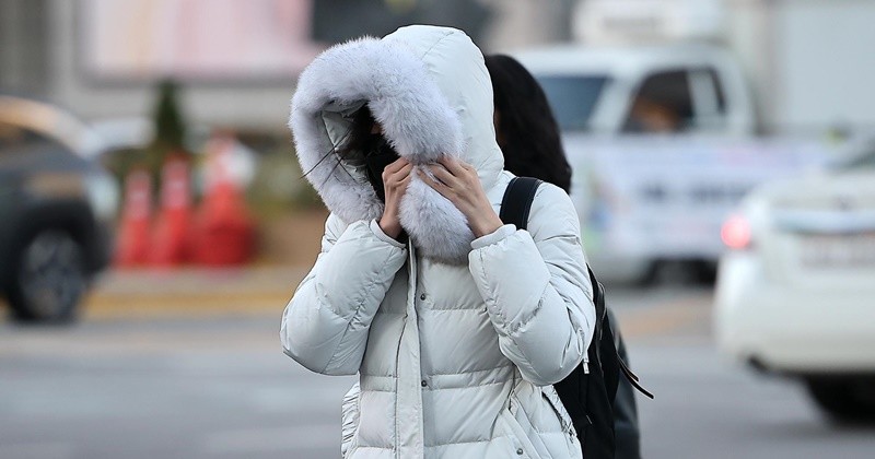 기사의 이해를 돕기 위한 사진 / 뉴스1