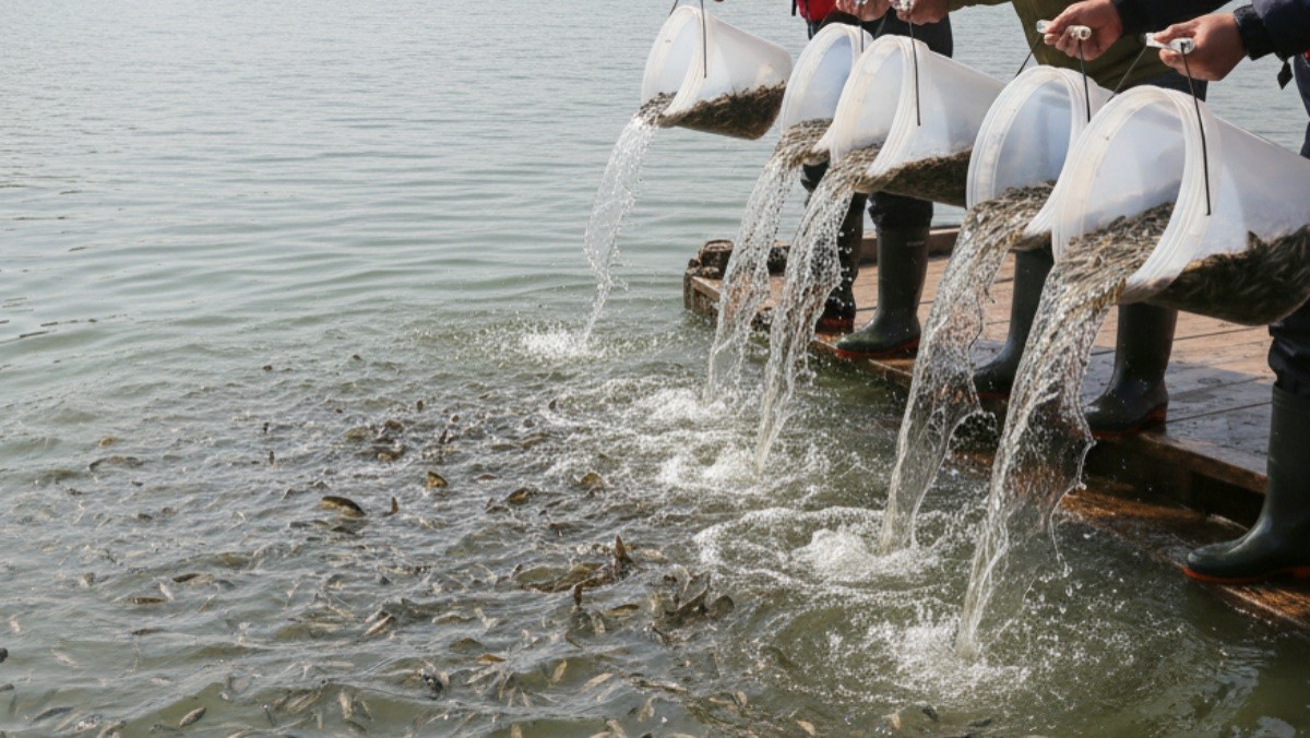 기사를 바탕으로 AI가 생성한 자료사진. 실제와 다를 수 있습니다.
