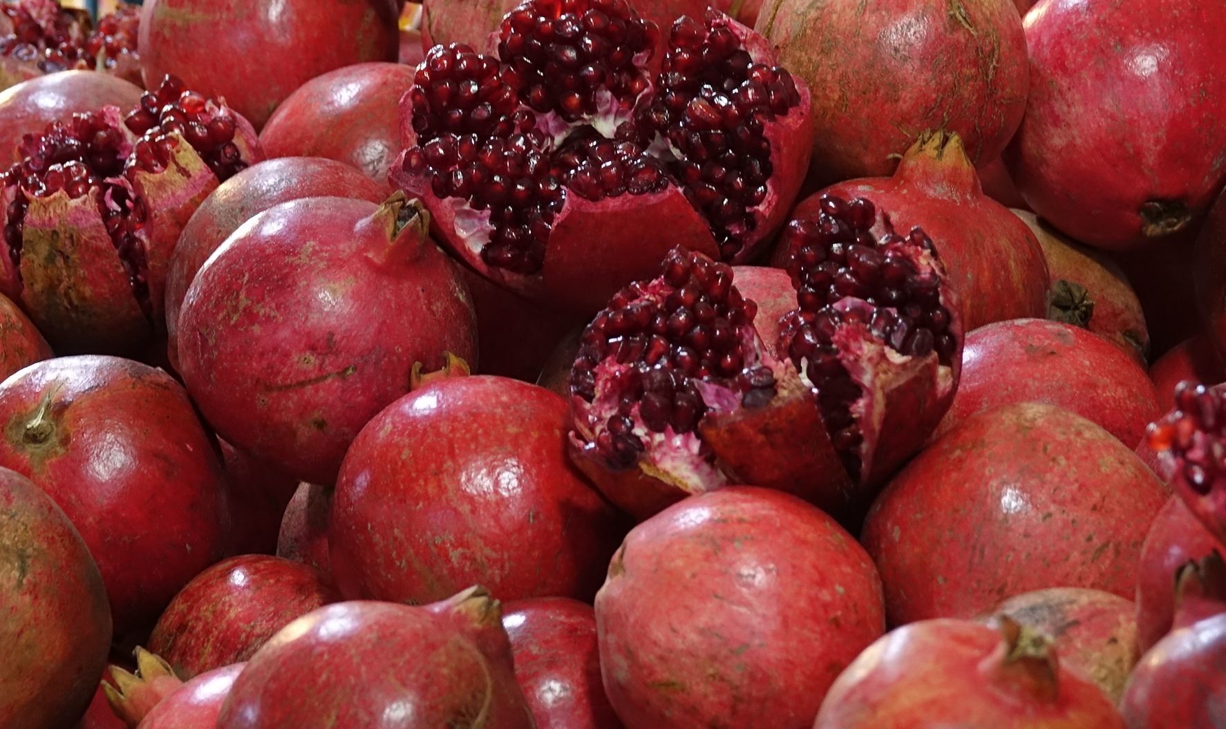 먹음직스러운 석류 / 연합뉴스