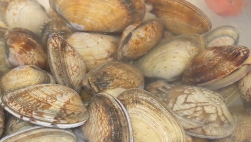 유튜브 '딸을 위한 레시피 Recipes for daughters'