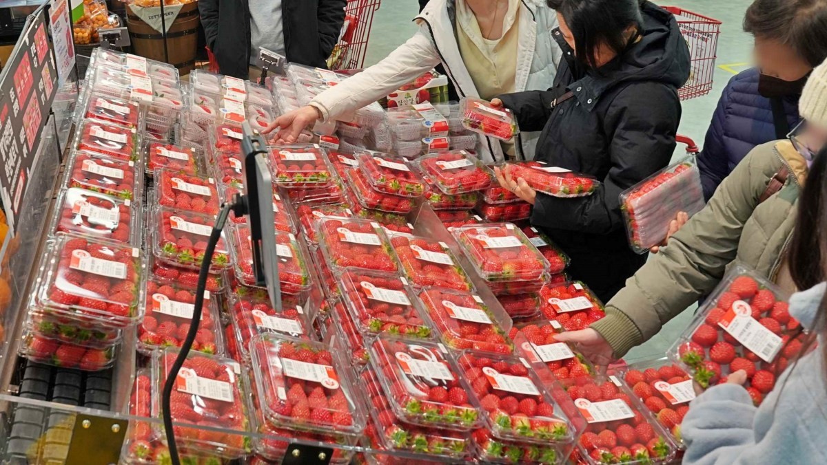 롯데마트 딸기 / 롯데마트 제공