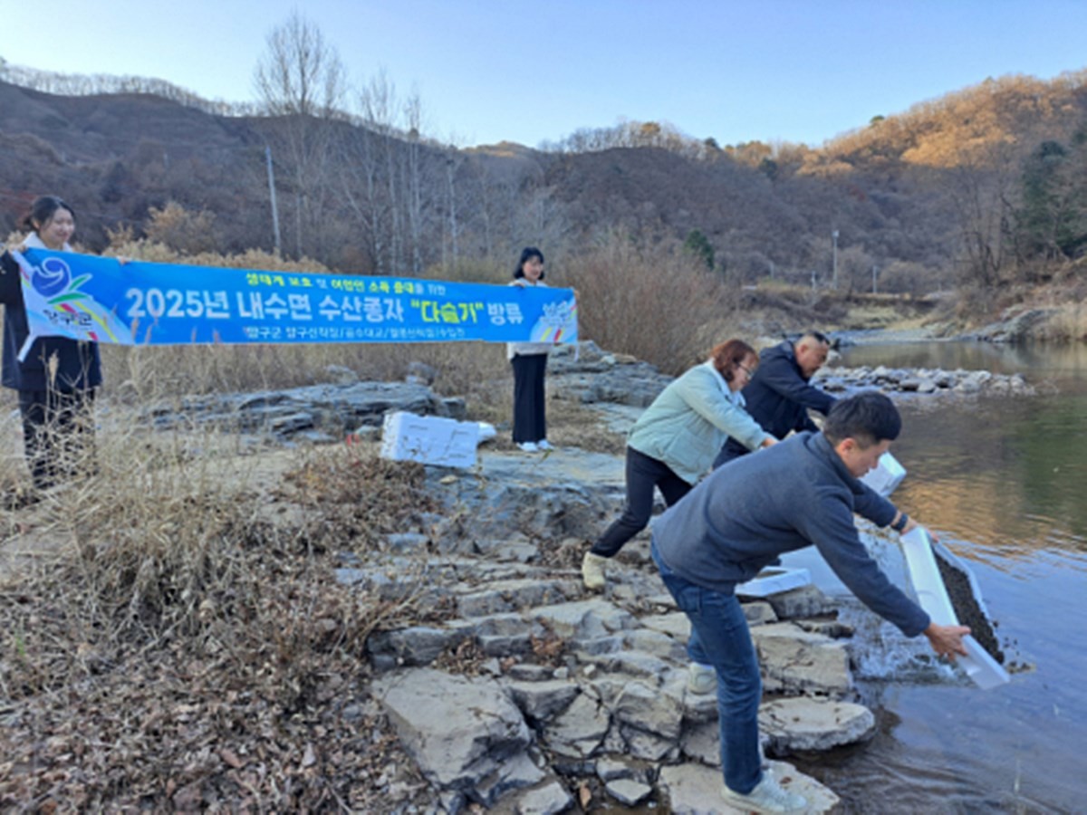 양구군은 지난 17일 강원도 양구군 방산면 일대 하천에서 다슬기 종자 88만여 마리를 방류했다. 양구군은 이번 다슬기 방류를 통해 하천 생태계 건강성 회복과 내수면 자원 확충에 나섰다고 밝혔다. / 양구군 제공