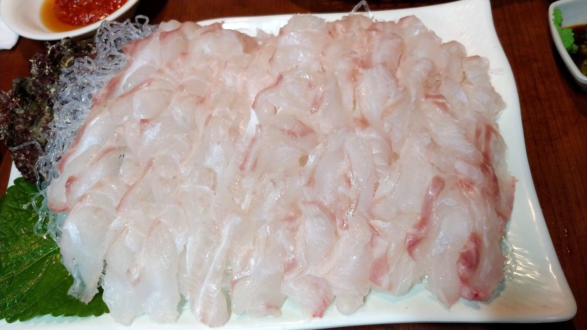 다금바리 회 자료사진 / 연합뉴스