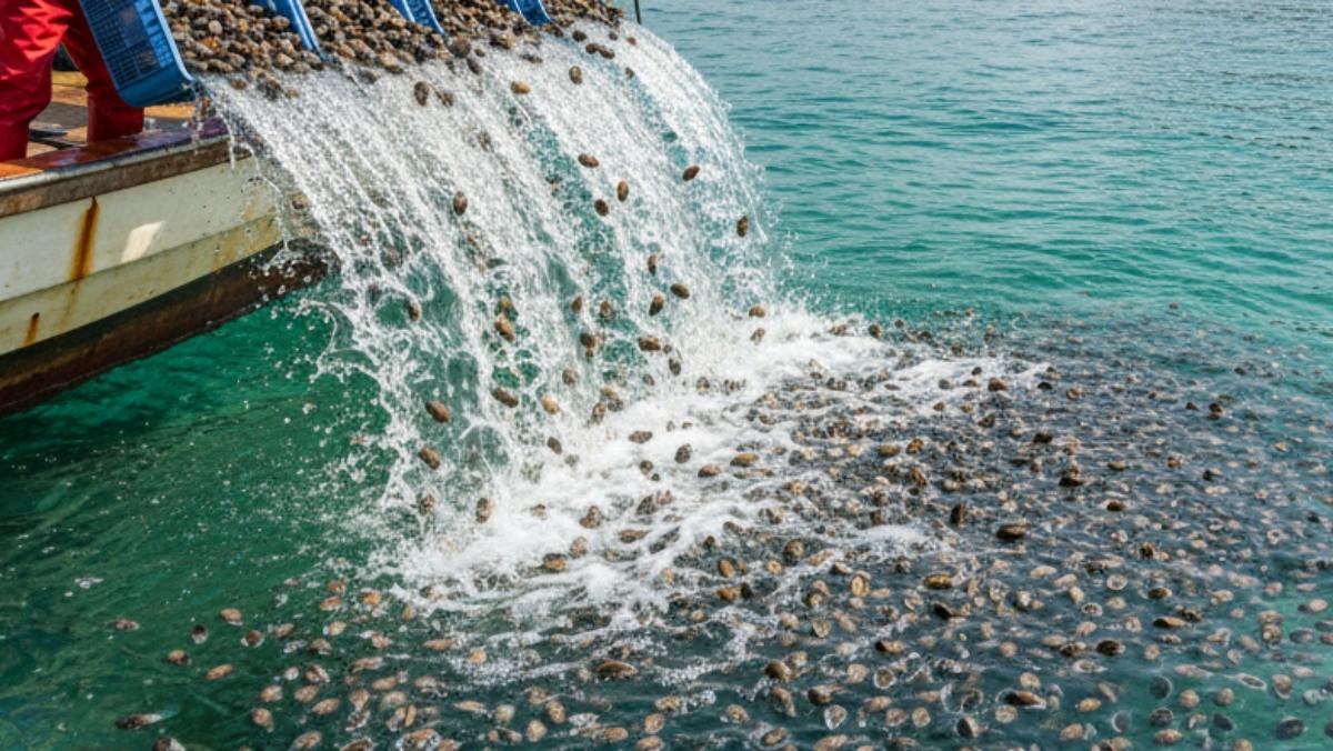기사를 바탕으로 AI가 생성한 이미지. 실제와 다릅니다.
