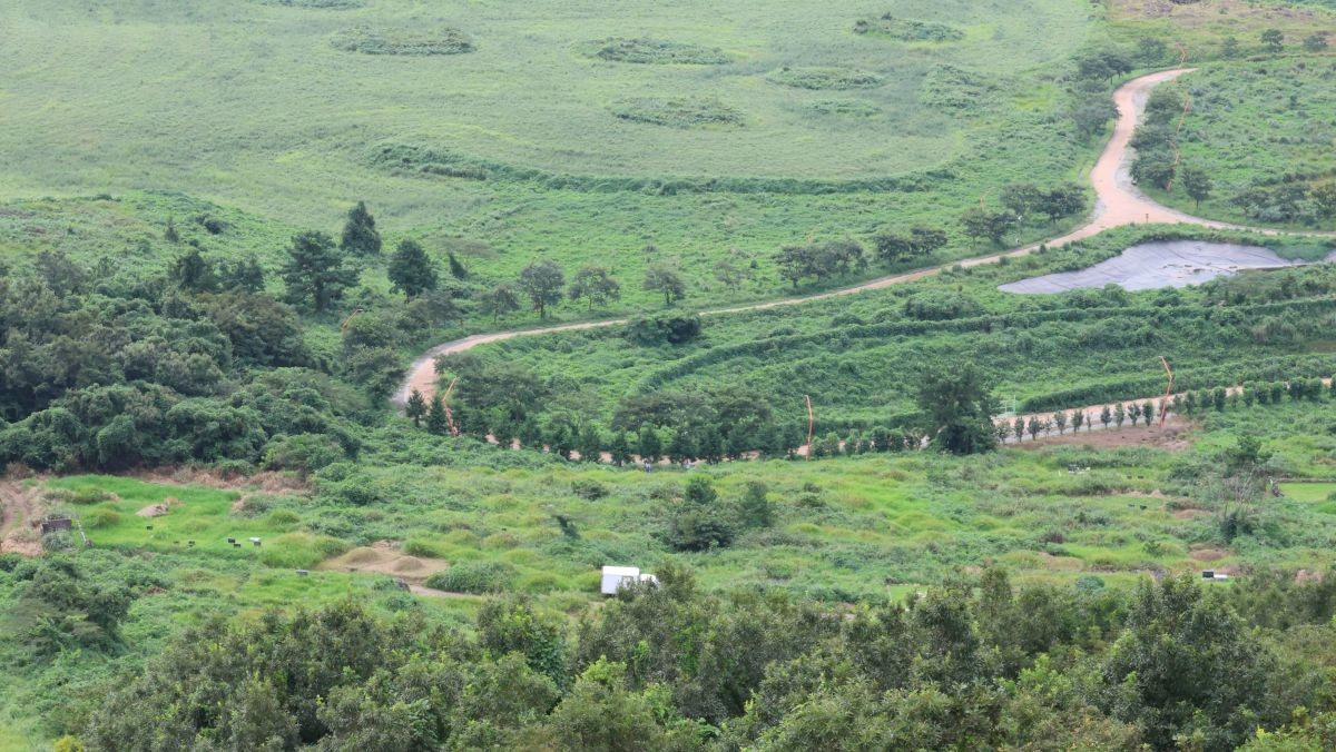 제주시 애월읍 봉성리 새별오름의 모습. 기사 속 생물이 발견된 장소와 연관이 없음을 밝힙니다. / 연합뉴스