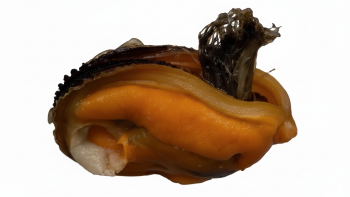 AI로 생성한 홍합(지중해 담치)과 족사 이미지.