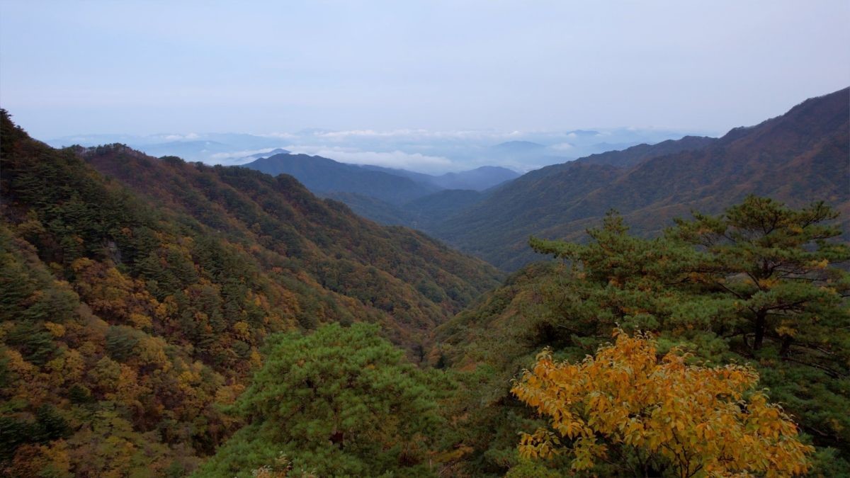 EBS1 '한국기행' 미리보기 페이지에서 제공하는 '노랗게 빨갛게 물들었네! 치악산 가는 길' 편 자료 사진. / EBS1 제공