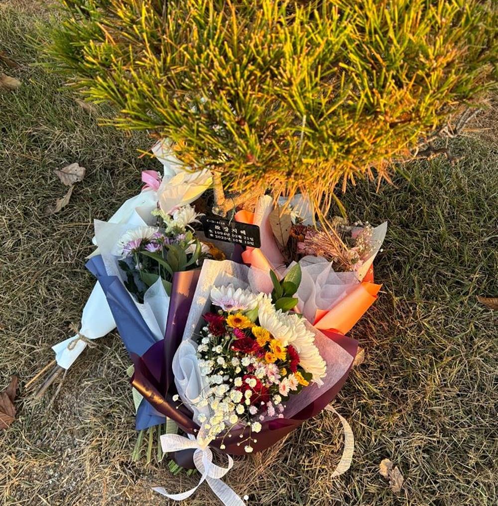 고인이 잠든 곳 모습. 고인의 남편이 올린 사진이다. / 장지혜 회계사 인스타그램