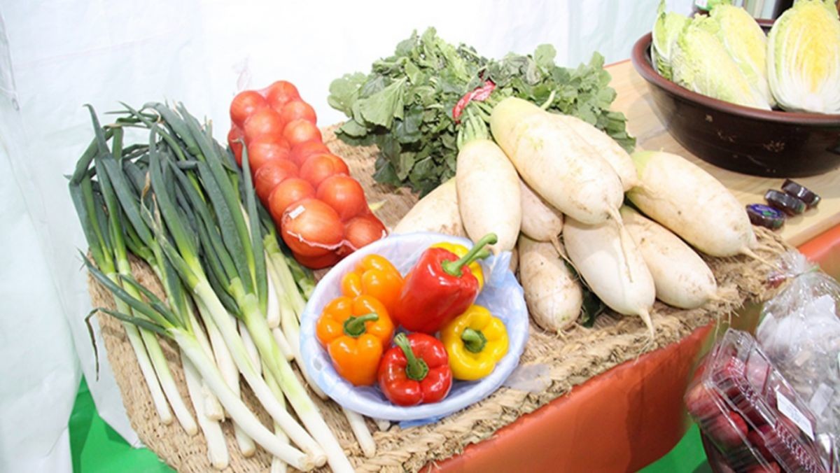 평창고랭지김장축제 자료사진. 김장 재료들. 올해 개최된 축제와 직접적인 연관은 없음을 알립니다. / 평창고랭지 김장축제 공식 홈페이지