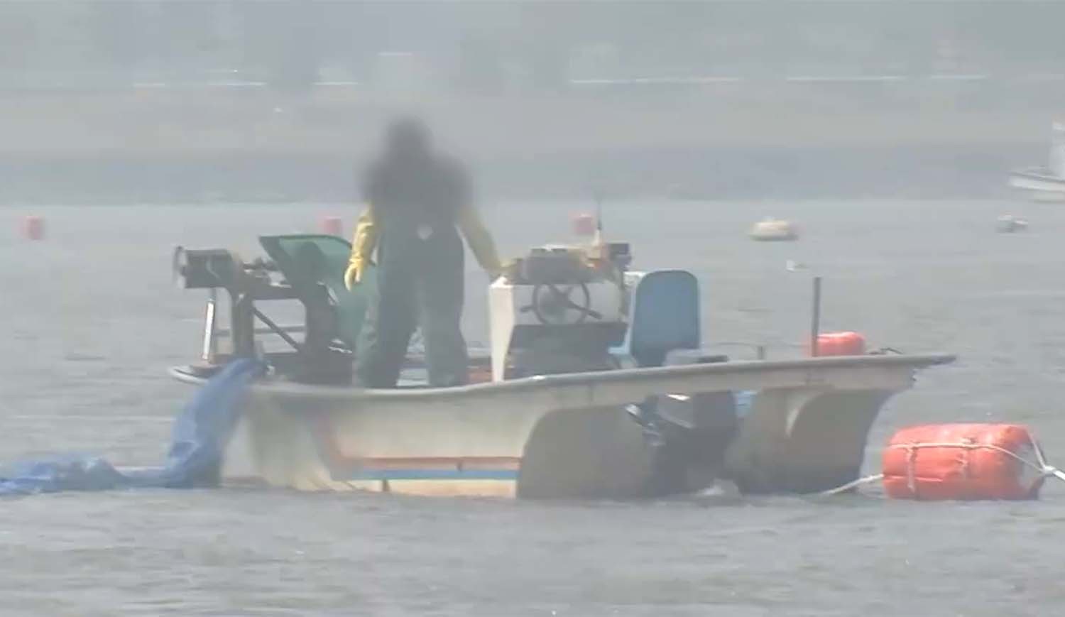 실뱀장어 어획 모습. / MBN