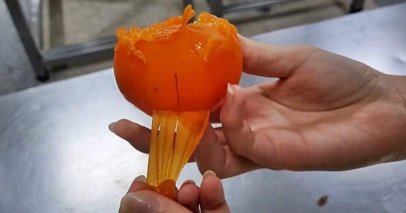 유튜브 '잠잠이'