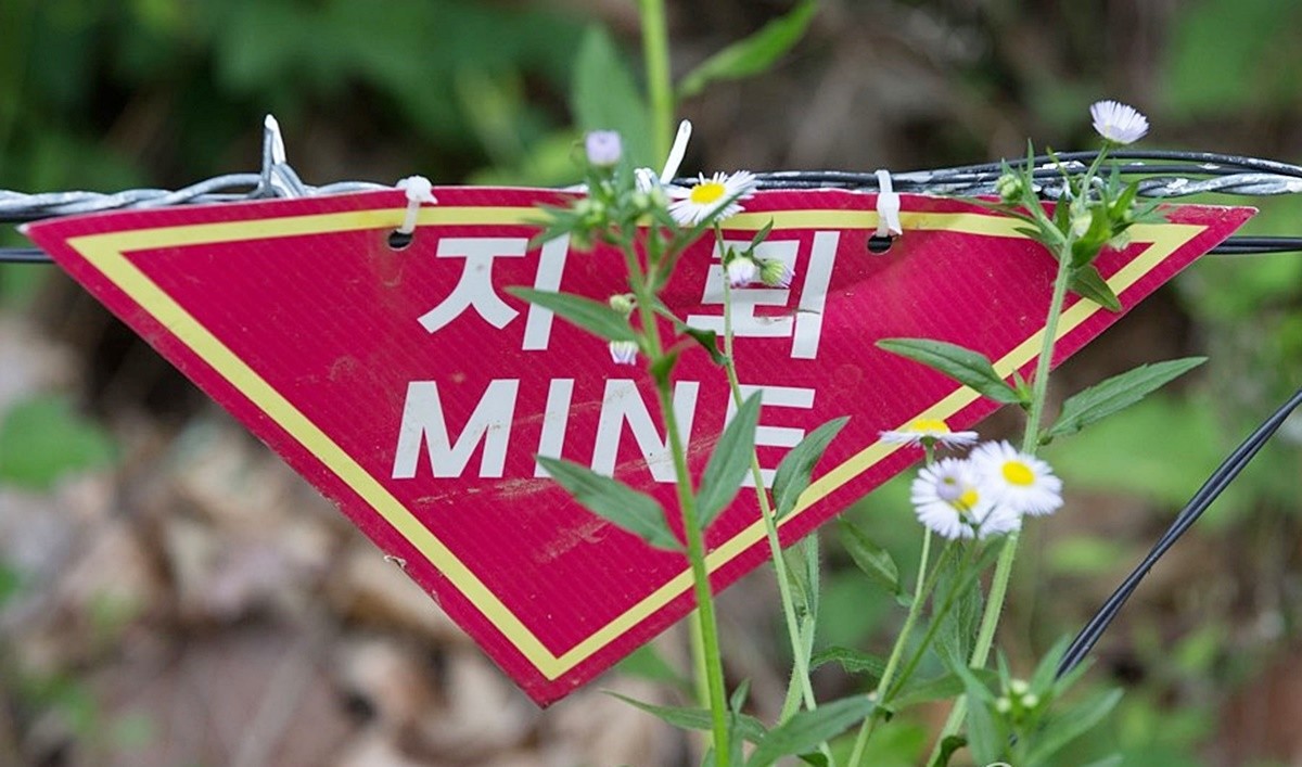 비무장지대 지뢰 푯말 모습. 기사 이해를 돕기 위한 자료 사진. 20일 오전 9시 20분쯤 경기 파주시 서부전선 비무장지대(DMZ)에서 원인 미상의 폭발 사고가 일어나 육군 모 부대 소속 A(24) 하사가 병원으로 긴급 이송됐다. 폭발 사고 피해를 입은 A 하사는 생명에 지장은 없으나 발목 골절로 추정되는 부상을 당한 것으로 파악됐다. / 연합뉴스
