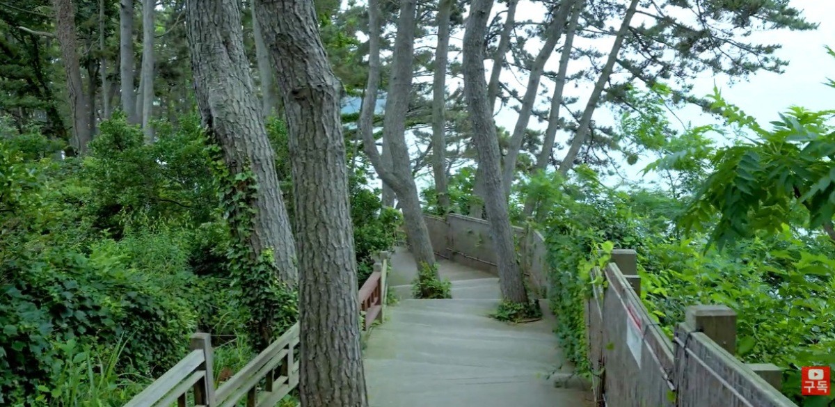 천리포수목원. / 유튜브 '파파트래블(PAPATRAVEL)' 영상 캡쳐