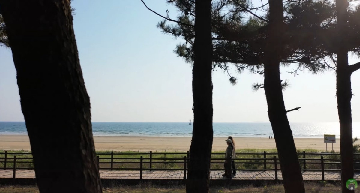 태안 해안 국립공원. / 유튜브 '국립공원TV' 영상 캡쳐