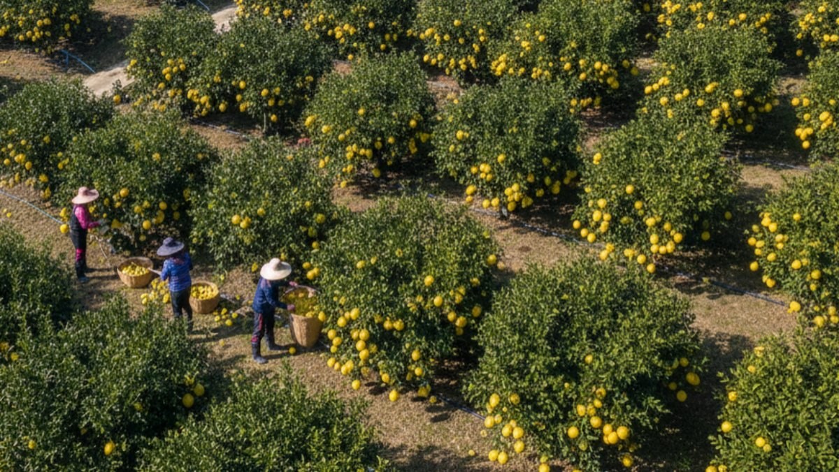 기사를 바탕으로 AI가 생성한 자료사진.