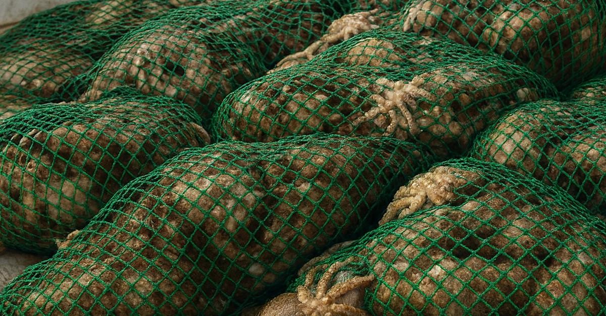 기사에 대한 이해를 돕기 위해 AI 툴로 제작한 자료 사진