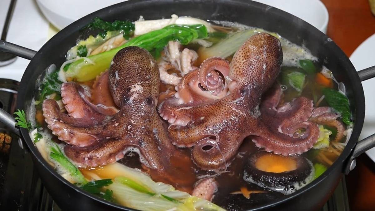 주꾸미 샤부샤부 / 보령시 제공, 연합뉴스