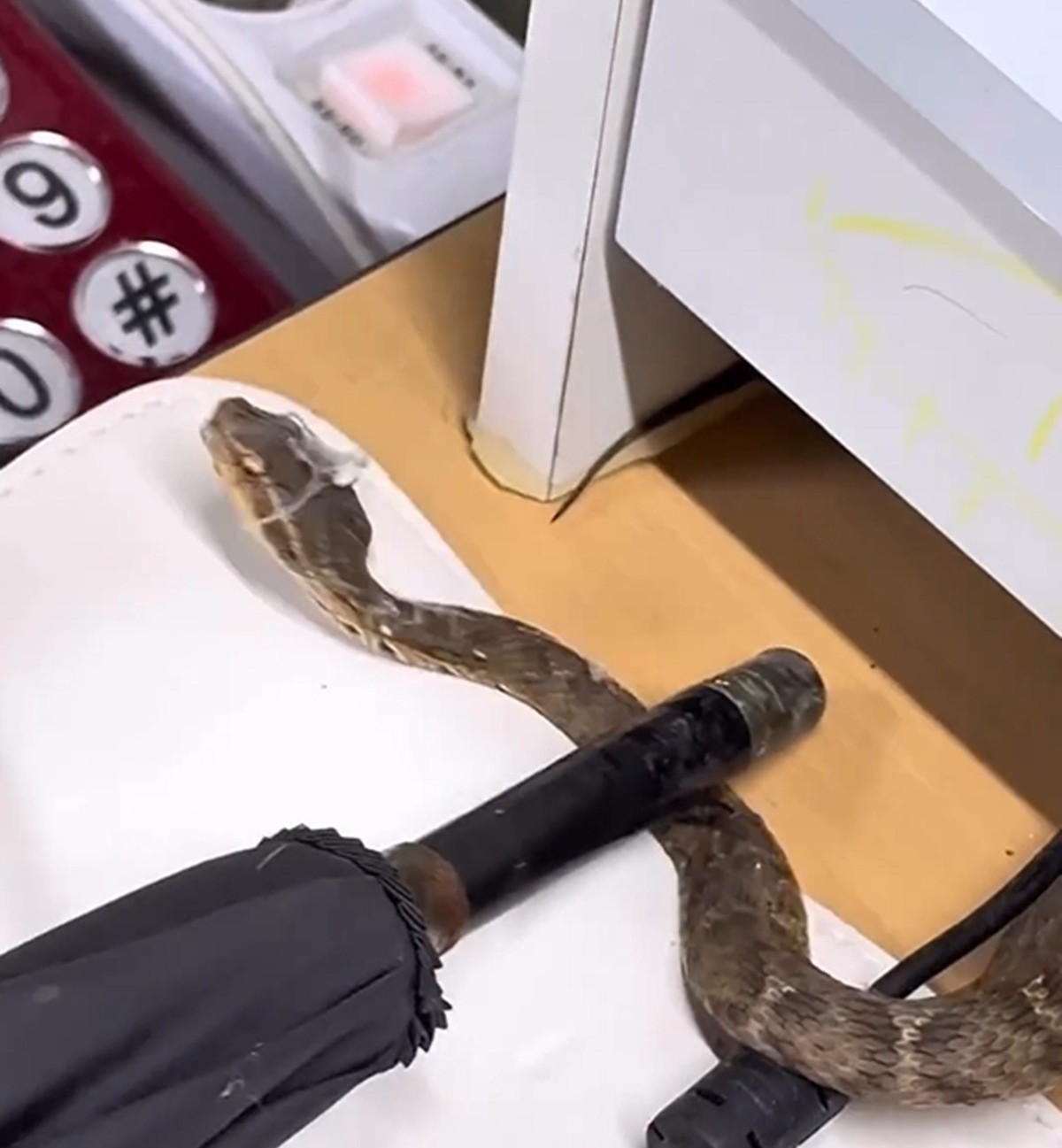 인스타그램·에펨코리아