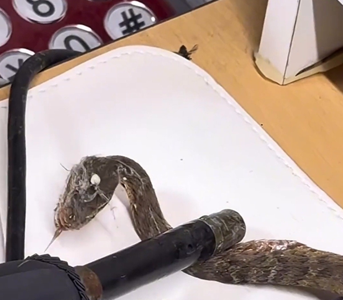 인스타그램·에펨코리아