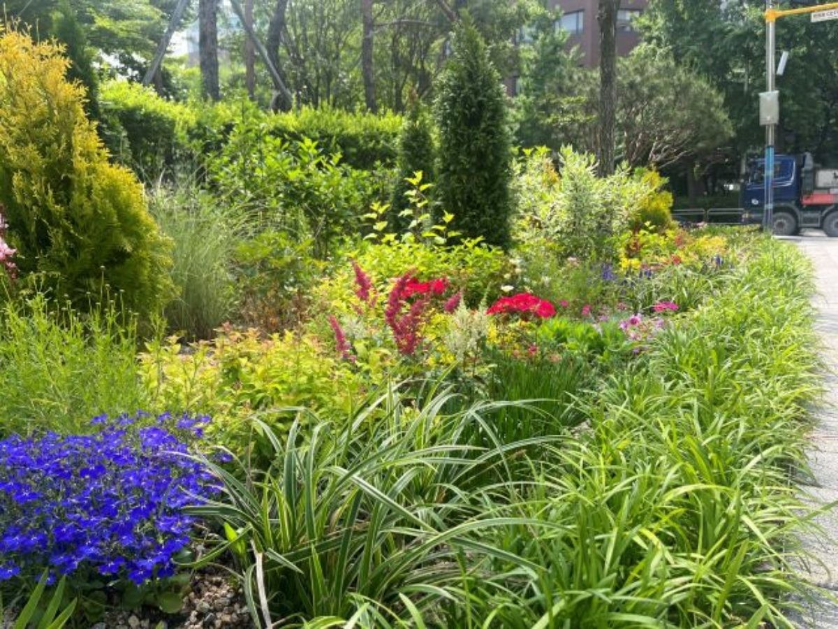 강서구 화곡로 '오아시스정원'. / 서울시 제공