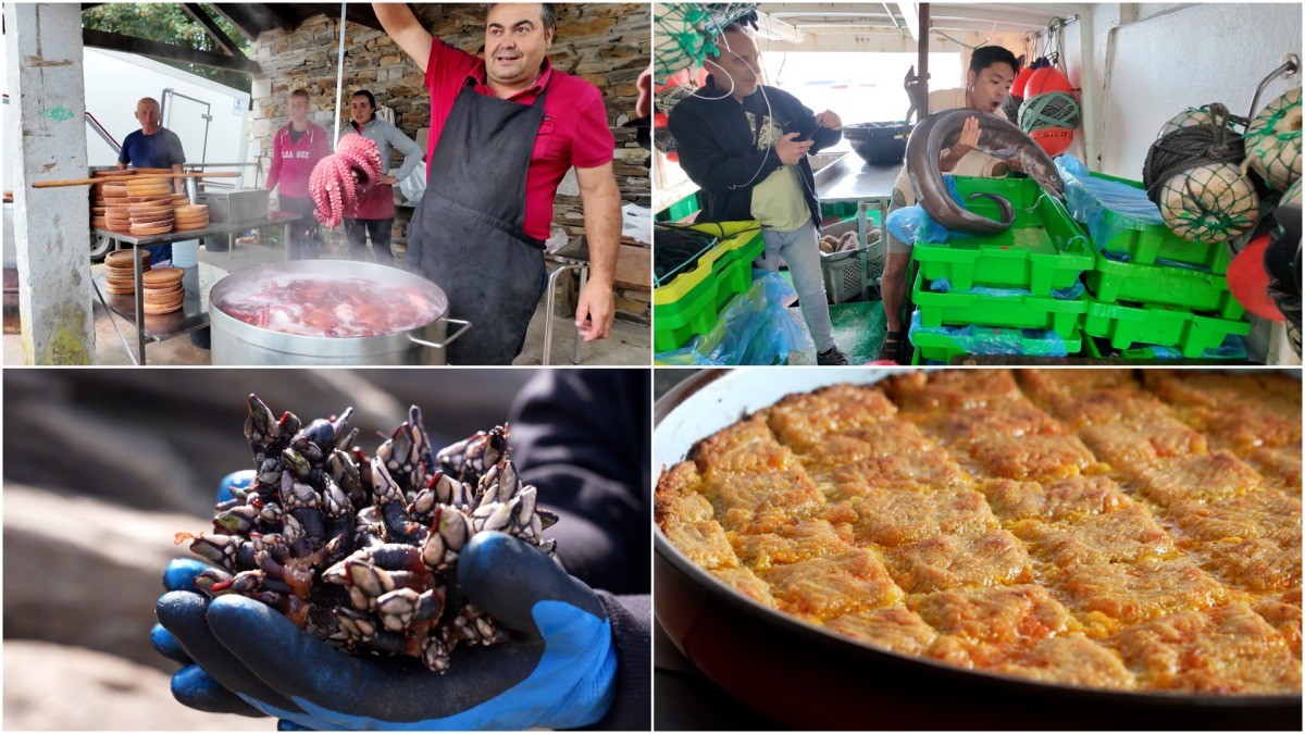 '세계테마기행' 1일 5식의 나라 스페인 미식 로드 4부, 갈리시아 편 자료 사진. / EBS1 제공