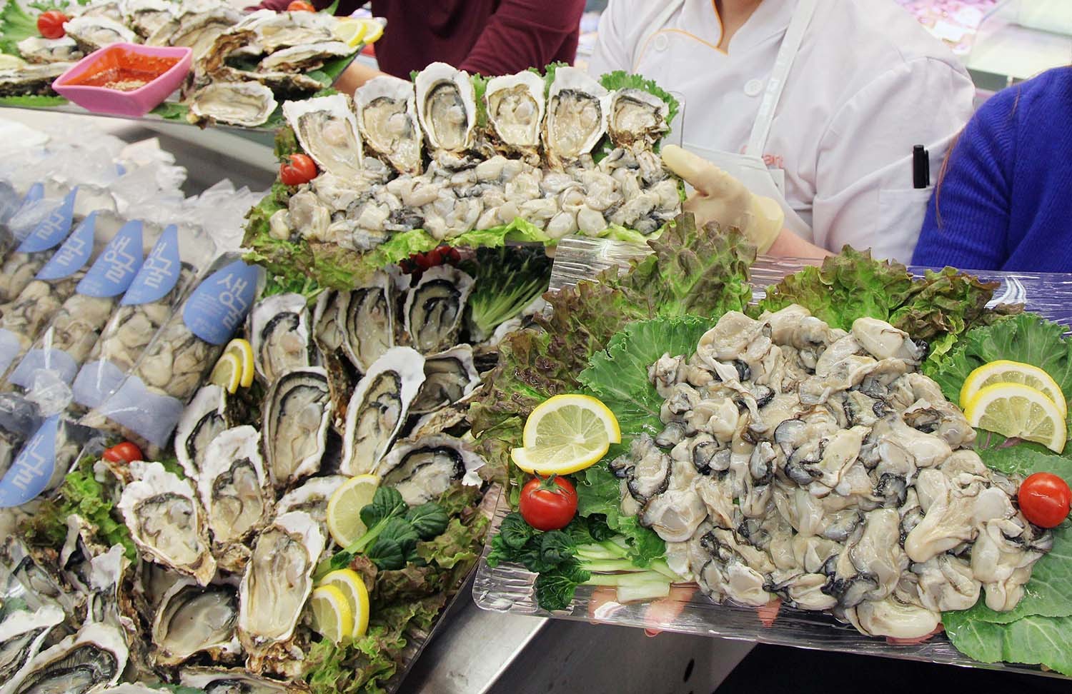 국산 굴 / 뉴스1 자료사진