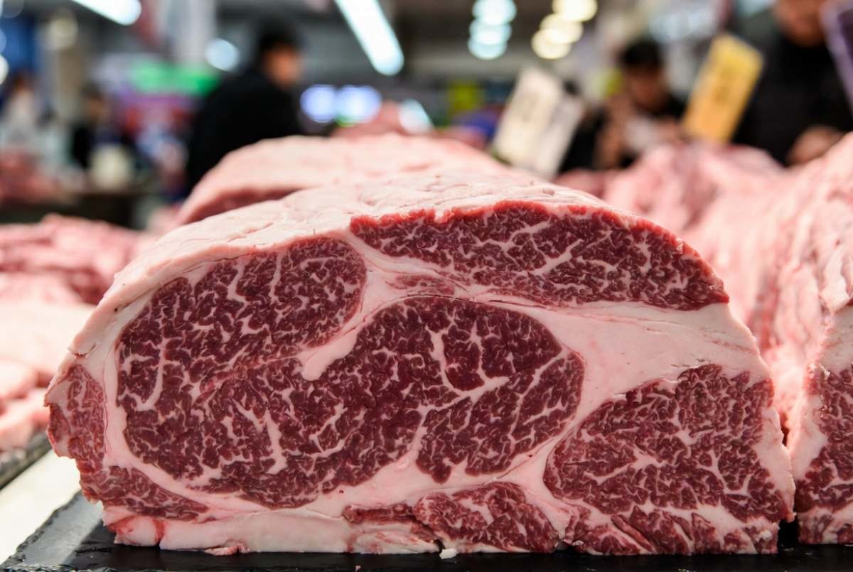 기사 내용을 바탕으로 제작한 자료사진.