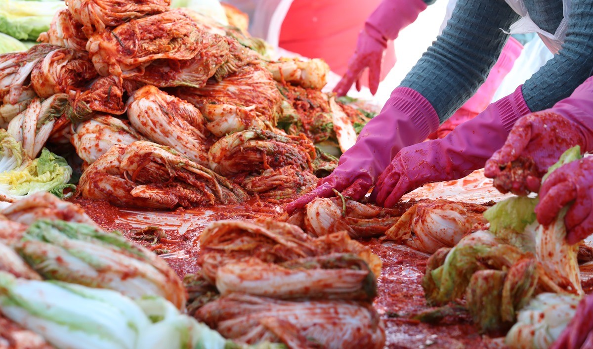 김장 자료 사진 / 뉴스1