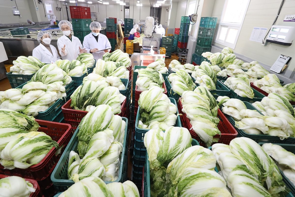 김치제조공장 자료 사진 / 뉴스1