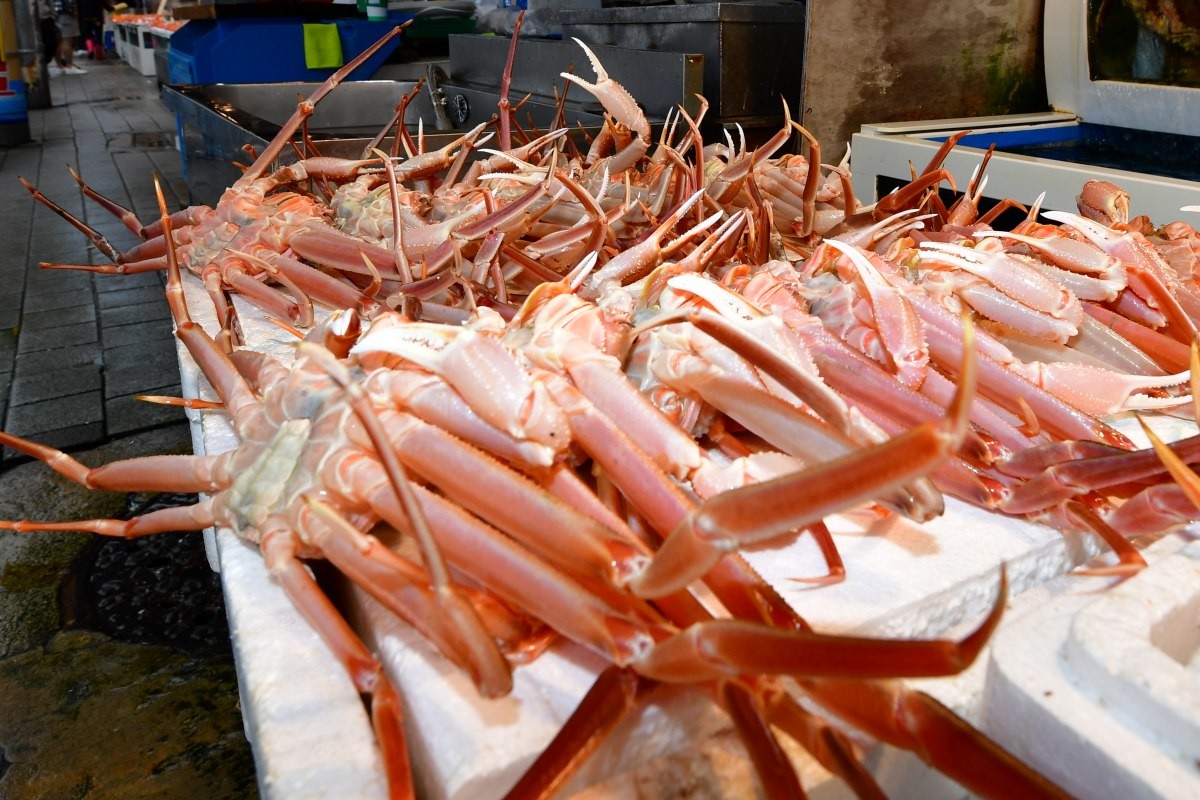 돌아온 대게철 / 뉴스1