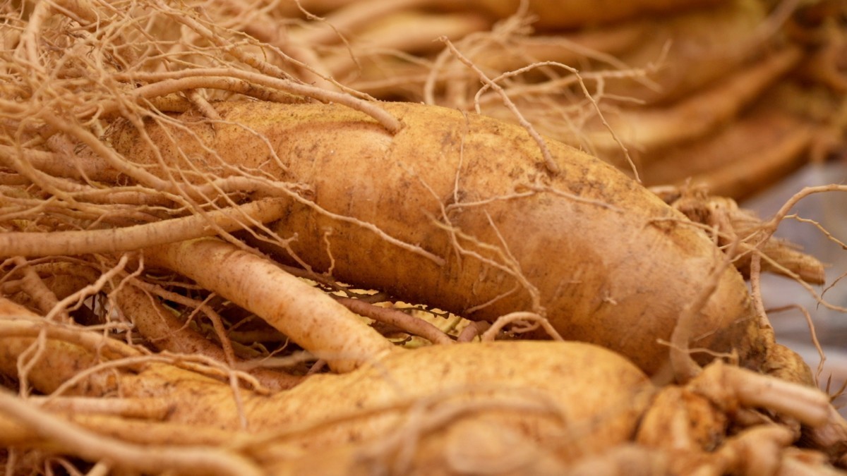 EBS1 '한국기행' 미리보기 페이지에서 제공하는 '보약 같은 부부! 힘이여 솟아라!' 편 자료 사진. / EBS1 제공