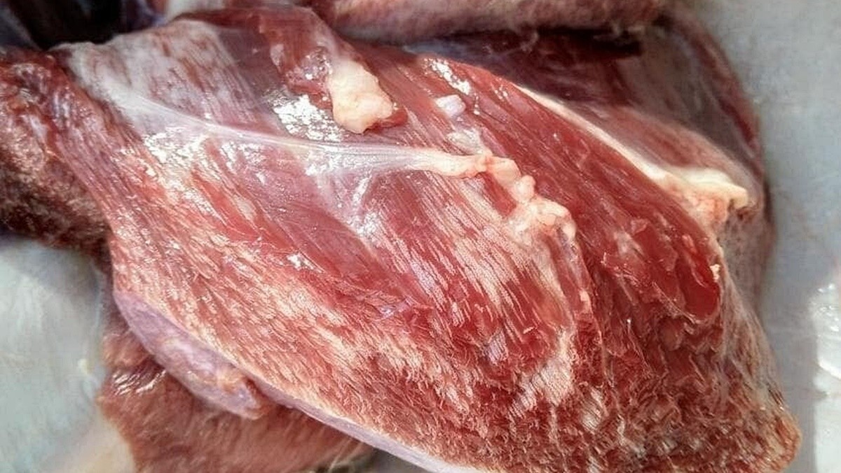 근육포자충에 감염된 고기 / 엑스(구 트위터)