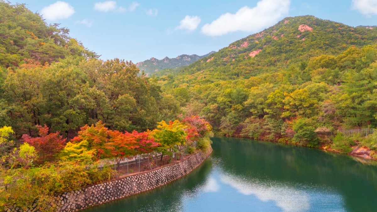 '서울대 안양수목원' 자료사진. 서울대 안양수목원은 1967년 학술 목적으로 조성됐다. 지난 5일 전시원 구역 중     20만㎡를 시민들에게 개방하고 있다./ 안양시 제공