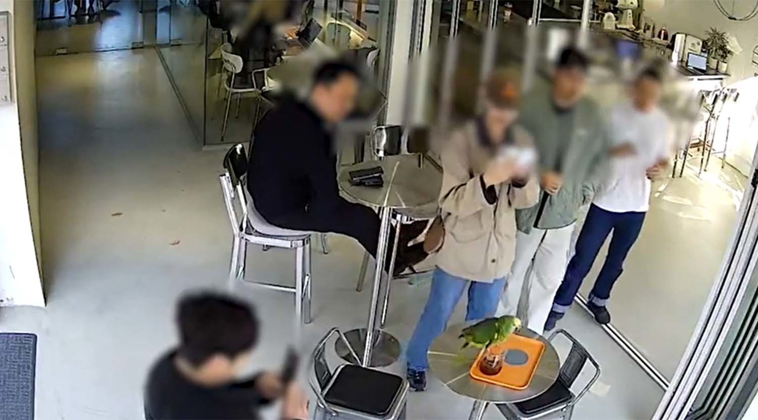 서울 영등포구의 한 카페에서 손님 커피를 마시다 걸린 앵무새. 독자가 연합뉴스에 제공한 영상을 캡처한 것이다.