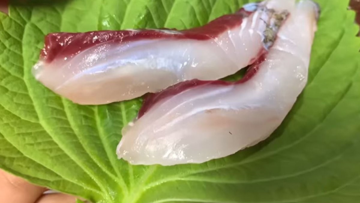 가숭어 회. / 유튜브 '생선선생 미스터S'