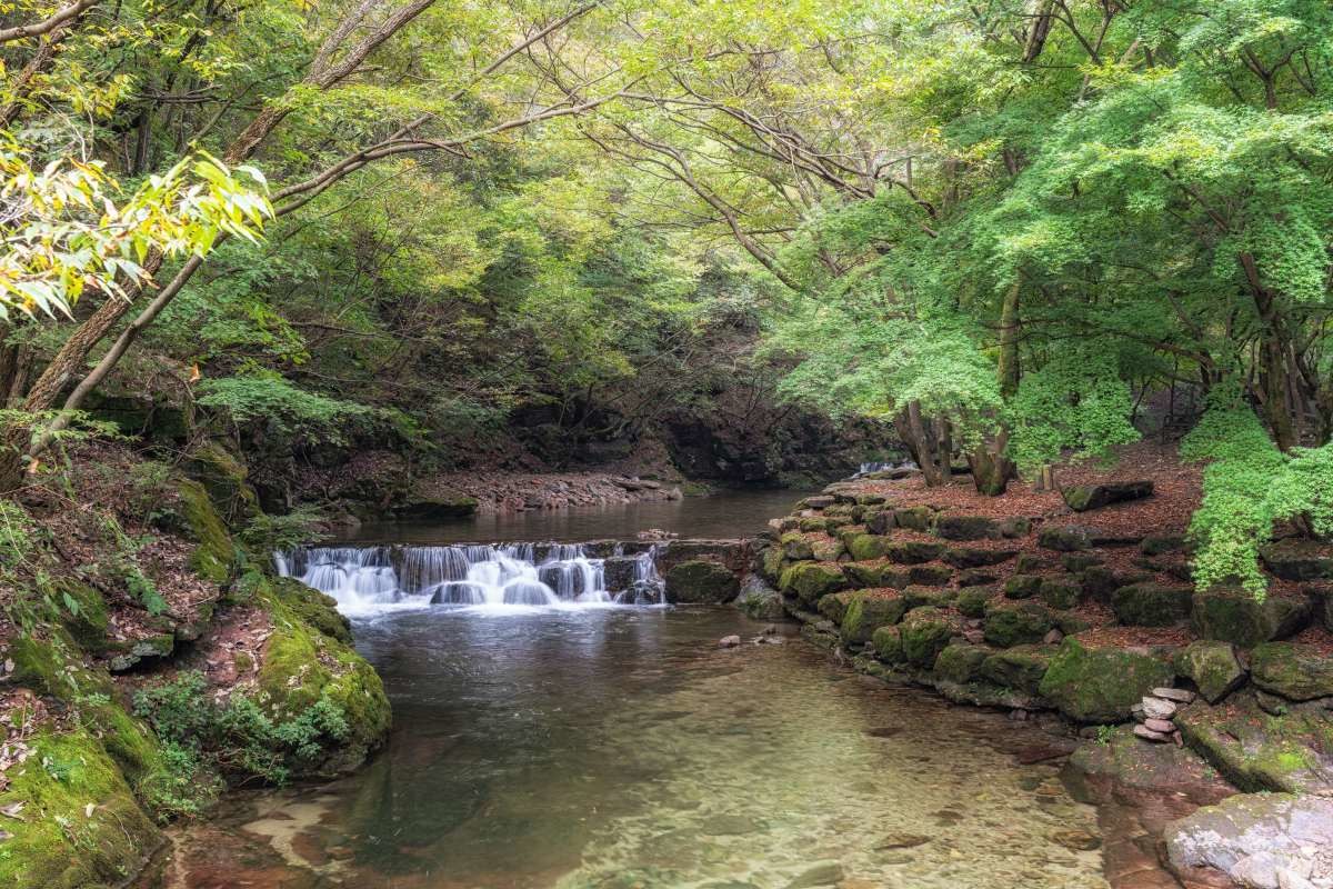 강천산. / aaron choi-shutterstock.com