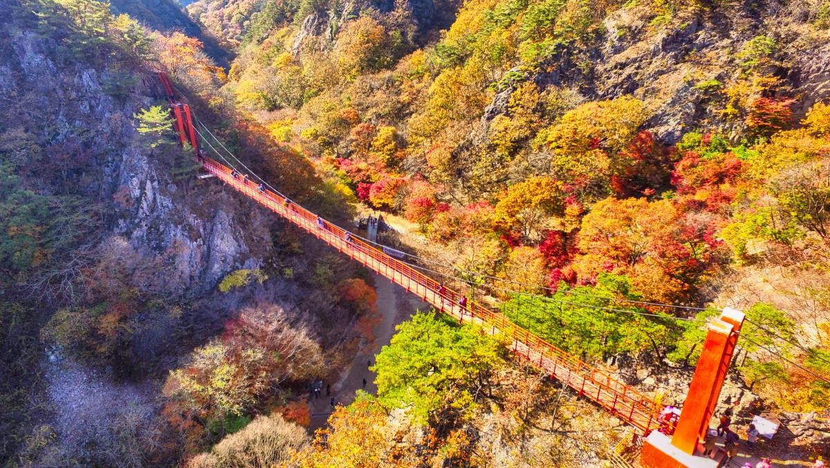 강천산 출렁다리. / PhotoSeagull-shutterstock.com