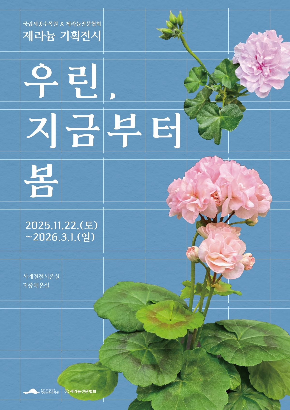 제라늄 전시 포스터 / 한국수목원정원관리원