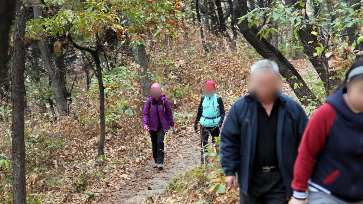 계양산 둘레길을 걷는 사람들. 기사 속 사건과는 직접적인 연관이 없음을 알립니다. / 연합뉴스