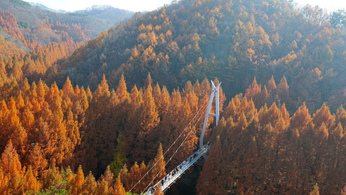 22일 오후 대전 서구 장태산자연휴양림 모습. / 뉴스1