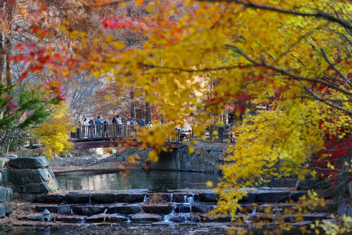 22일 오후 대전 서구 장태산자연휴양림. / 뉴스1