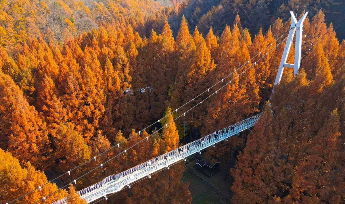 22일 오후 대전 서구 장태산자연휴양림. / 뉴스1